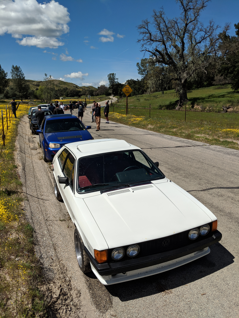 Illustration for article titled Drive Report: Targa 805 Rally